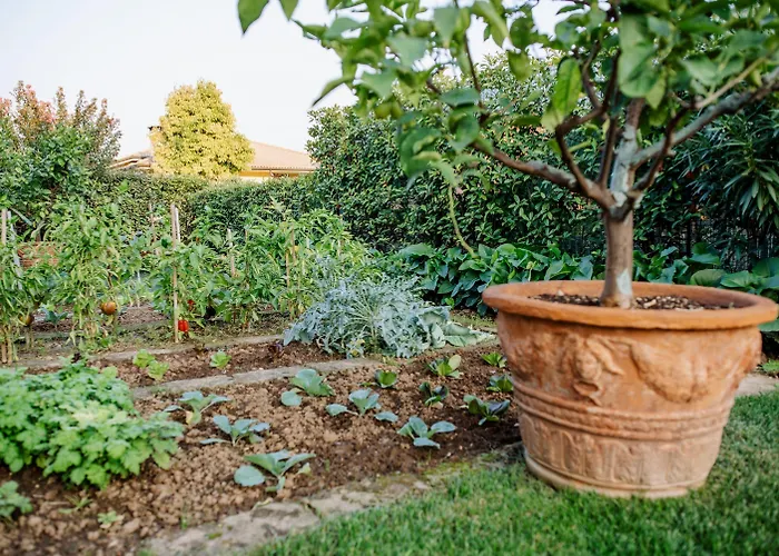 Bed & Breakfast La Dolce